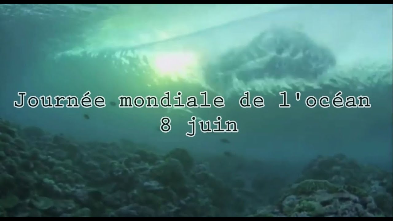 youtube placeholder image